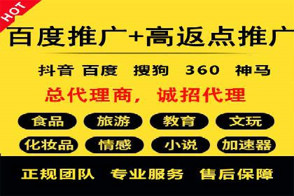 谷歌竞价广告与SEO结合的营销案例解析